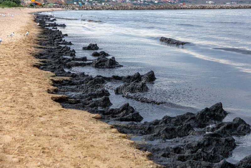 L'accès aux plages concernées est temporairement restreint. (Ph. DR)