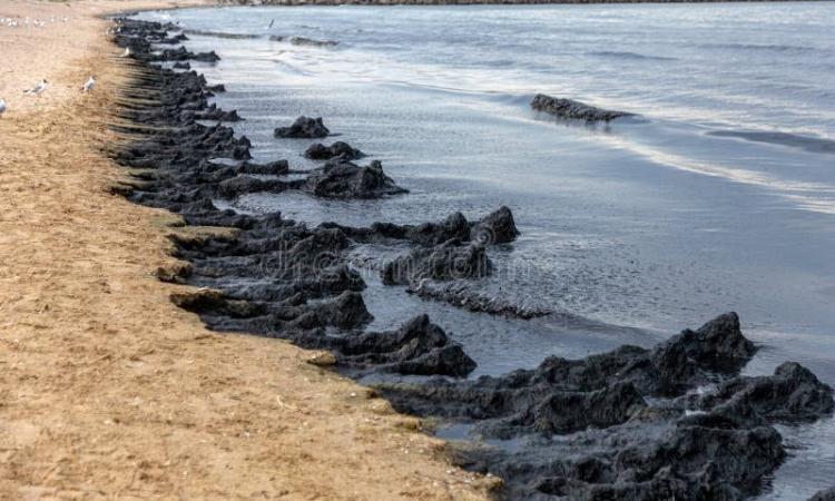 L'accès aux plages concernées est temporairement restreint. (Ph. DR)
