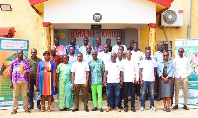 Les membres de la Picd maintiennent que le système de commercialisation entièrement libéralisé n’est pas une solution viable en Côte d’Ivoire. (Ph. DR)