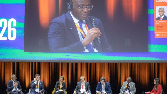 Le ministre Sidi Touré a plaidé pour le renforcement des services vétérinaires. (Ph. DR)